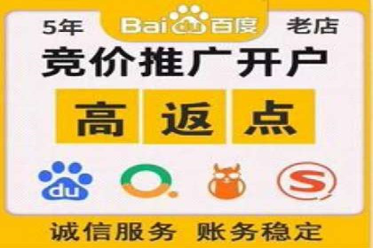 百度竞价包年服务：某行业领导品牌的成功故事